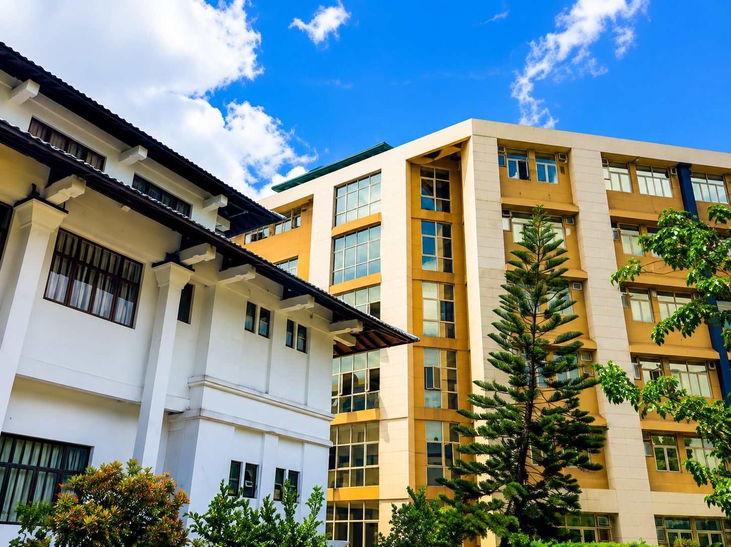 Department of Provincial Planning and Monitoring
